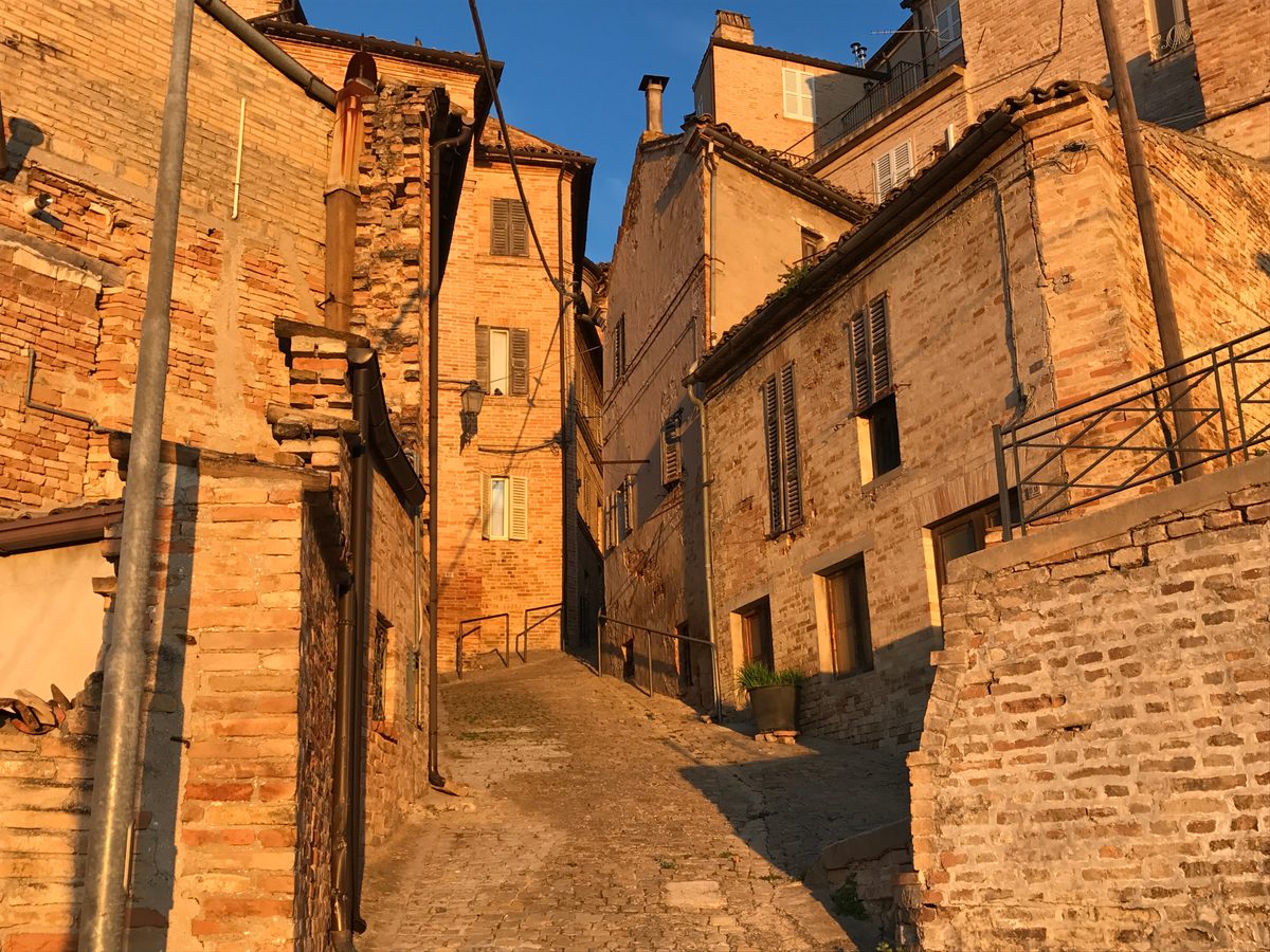 A lane way surrounded by brick buildings bathed in golden hour sunlight