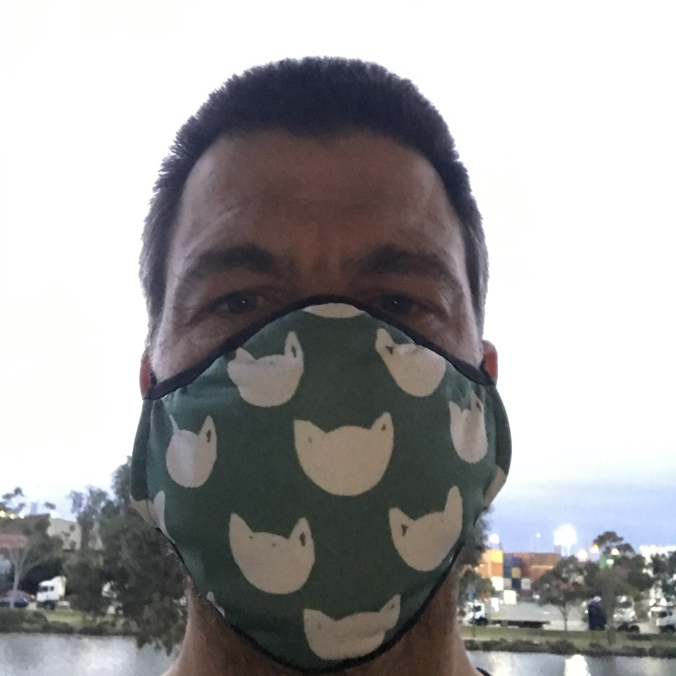 Selfie of me wearing a mask with cat face silhouettes